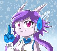 Freedom_Planet_2 artist:LonicHedgehog character:Sash_Lilac female safe smile text // 944x847 // 116.1KB