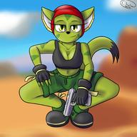 alt_outfit artist:Chowdie background bandana character:Carol_Tea female freedom_planet gun safe // 3000x3000 // 3.1MB