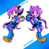 artist:DC-Dialgia69 character:Sash_Lilac freedom_planet hedgehog safe // 1024x1024 // 441.2KB