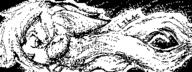artist:Tay character:Sash_Lilac female miiverse monochrome safe simple_background sketch // 320x120 // 6.3KB